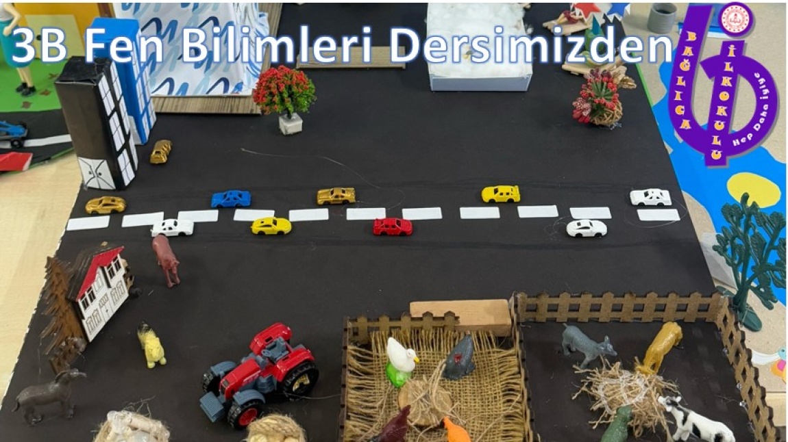3/B Sınıfından 